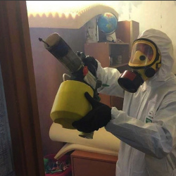 Уничтожение клопов в квартире. Юрга
